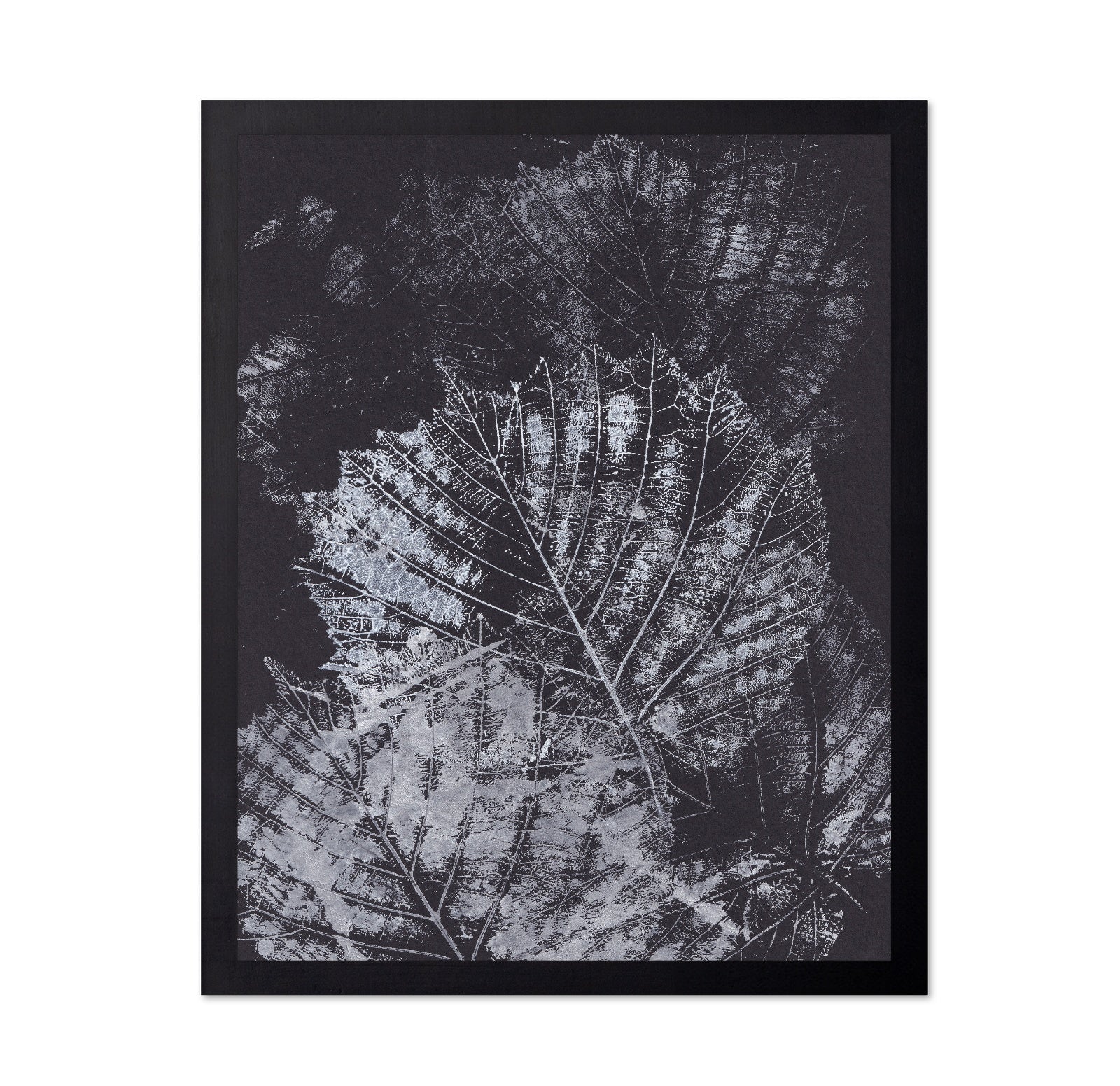 Botanical Vein Pattern