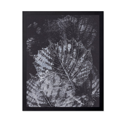 Botanical Vein Pattern