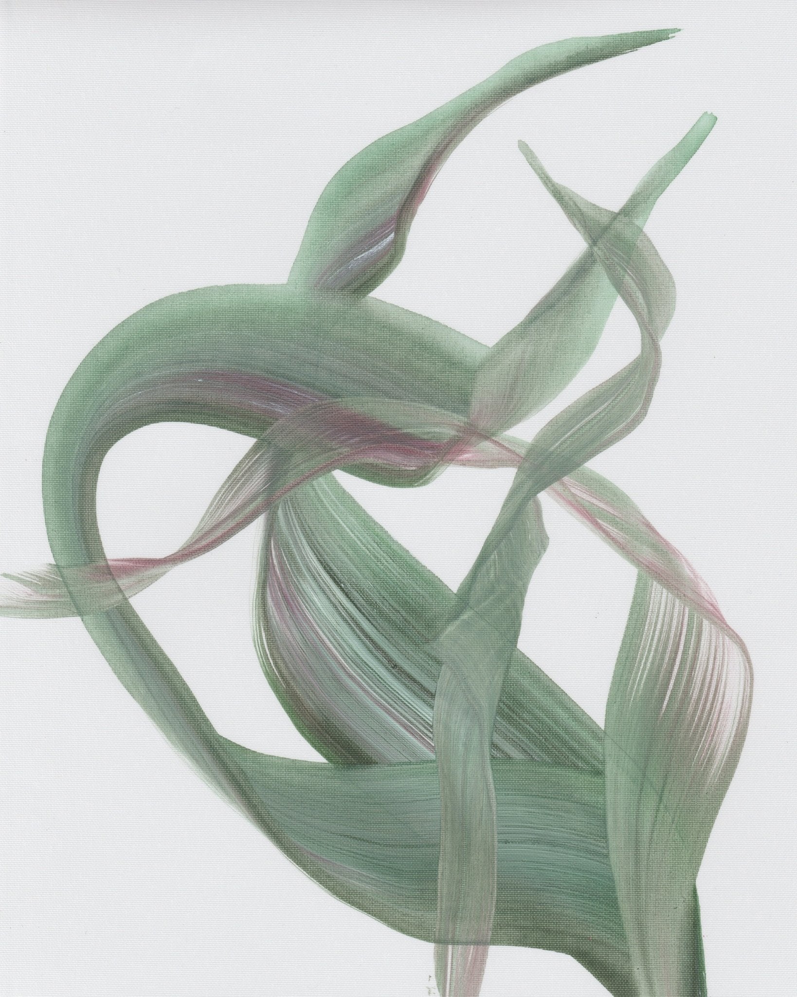 Soft Green Leaves