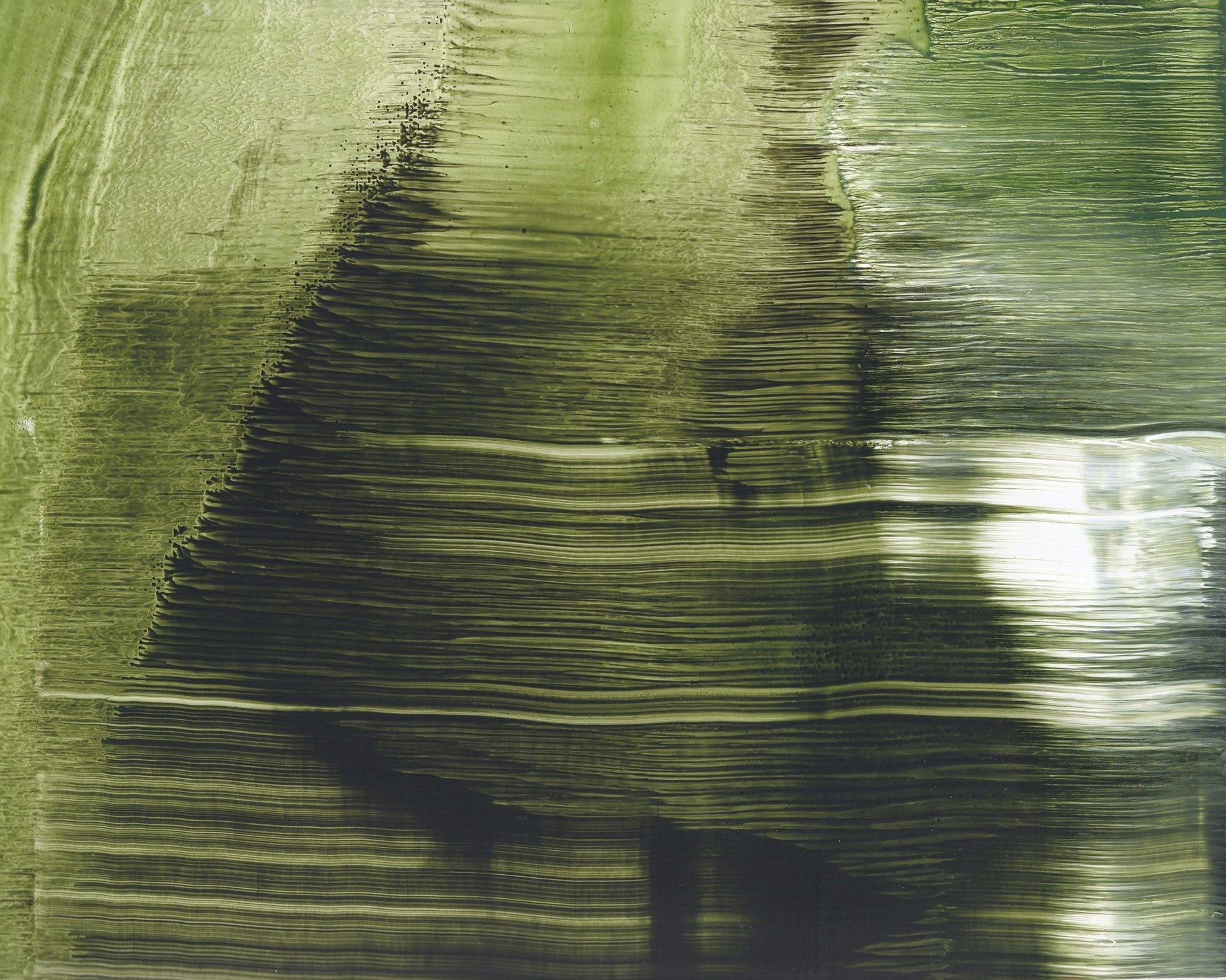 Green Tree Texture