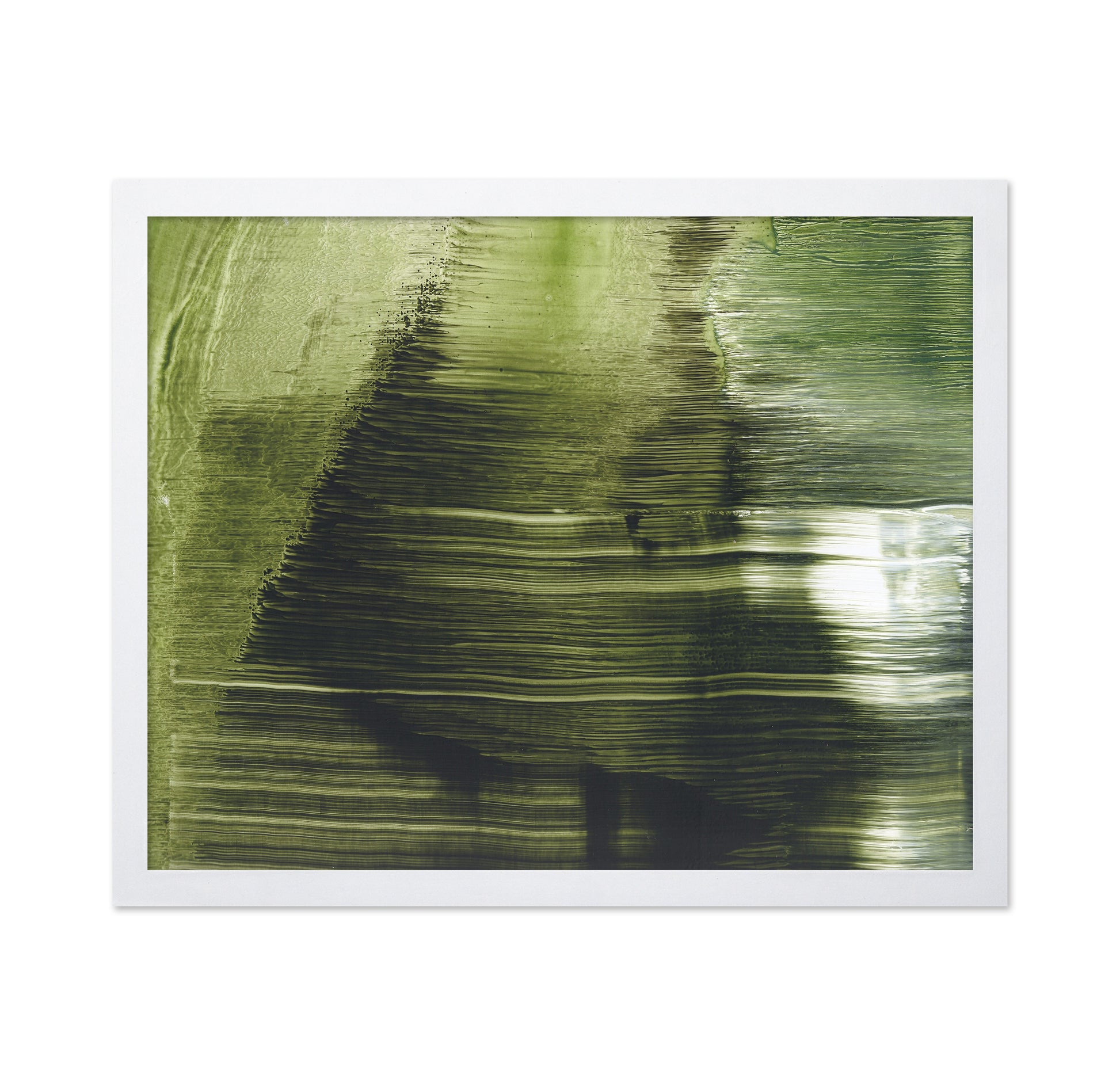 Green Tree Texture