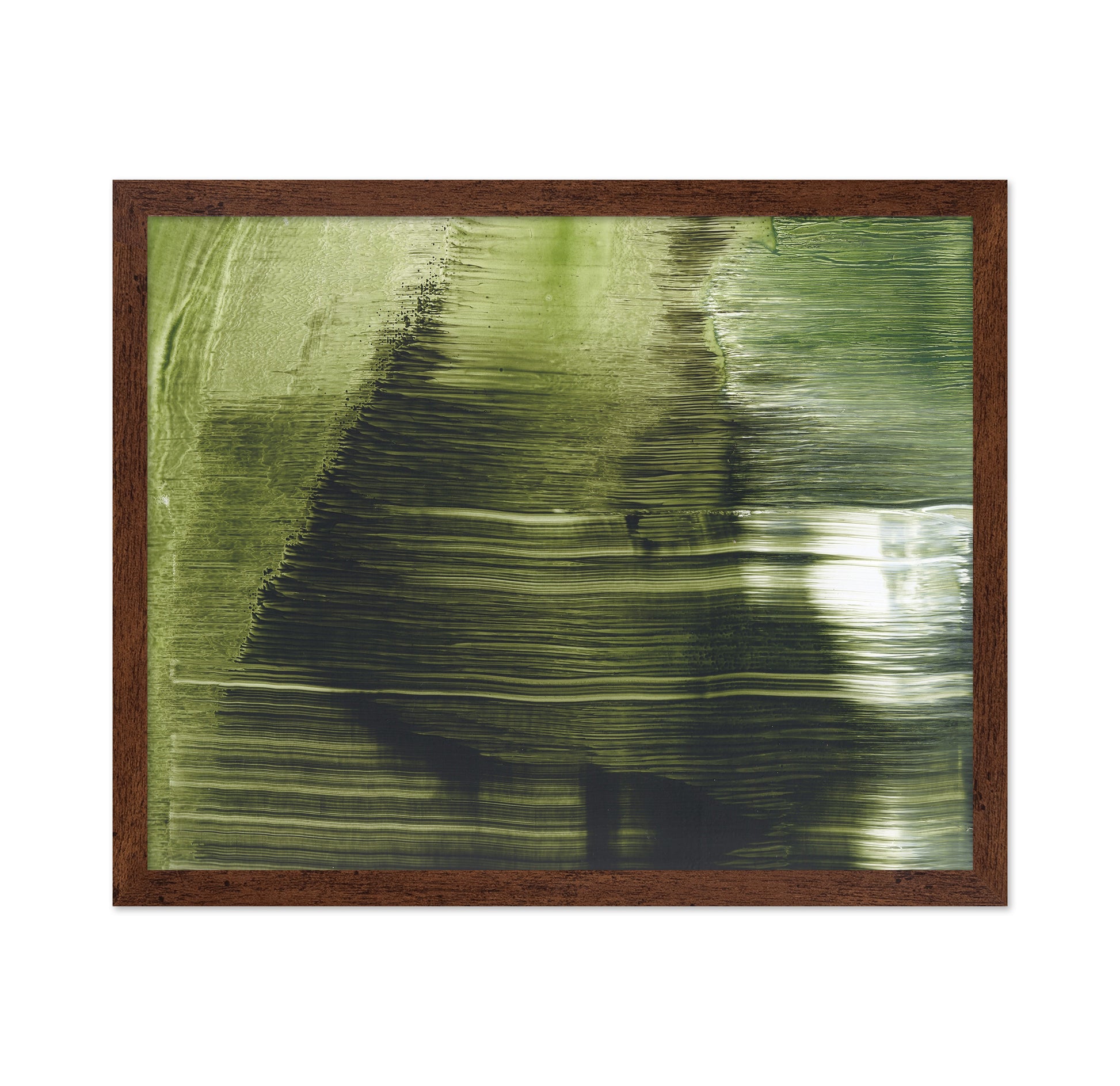 Green Tree Texture