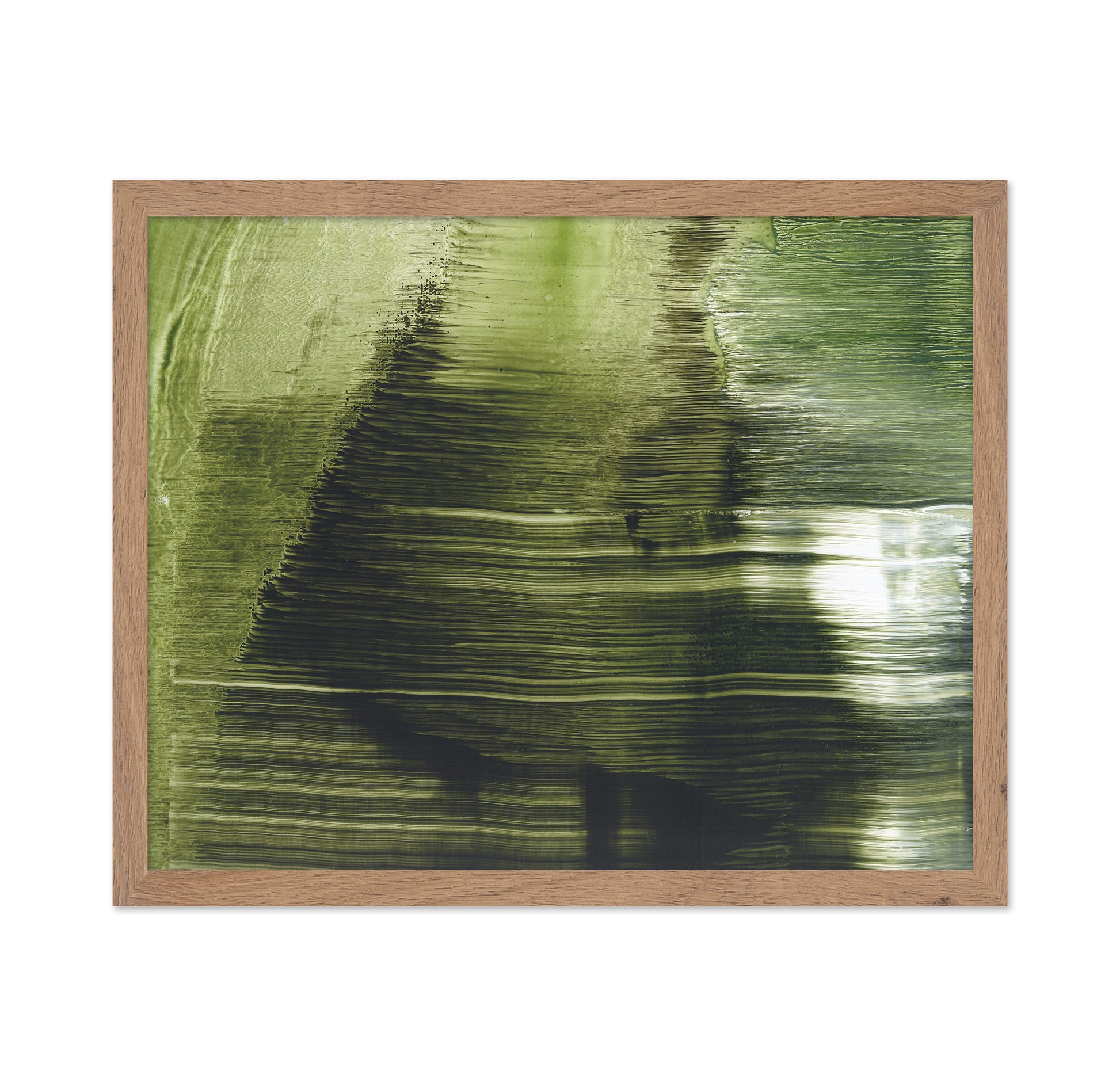 Green Tree Texture
