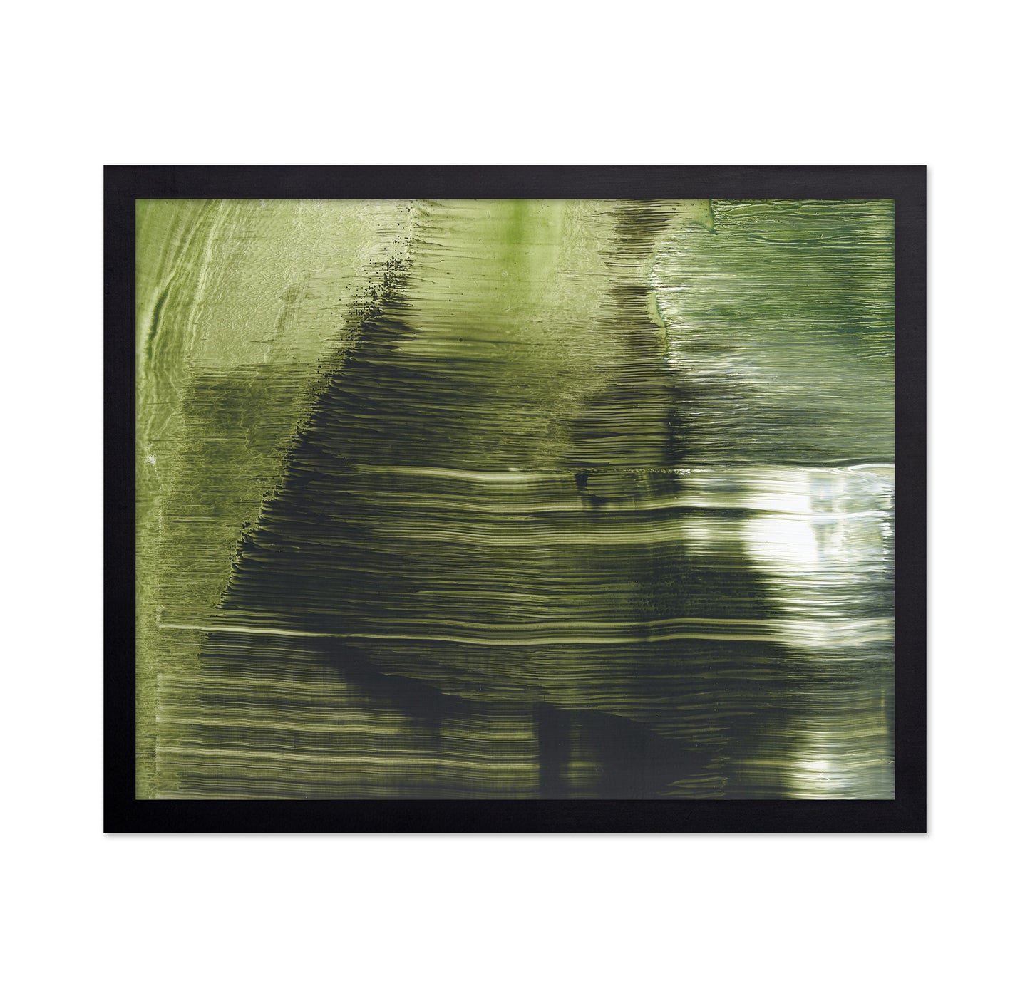Green Tree Texture