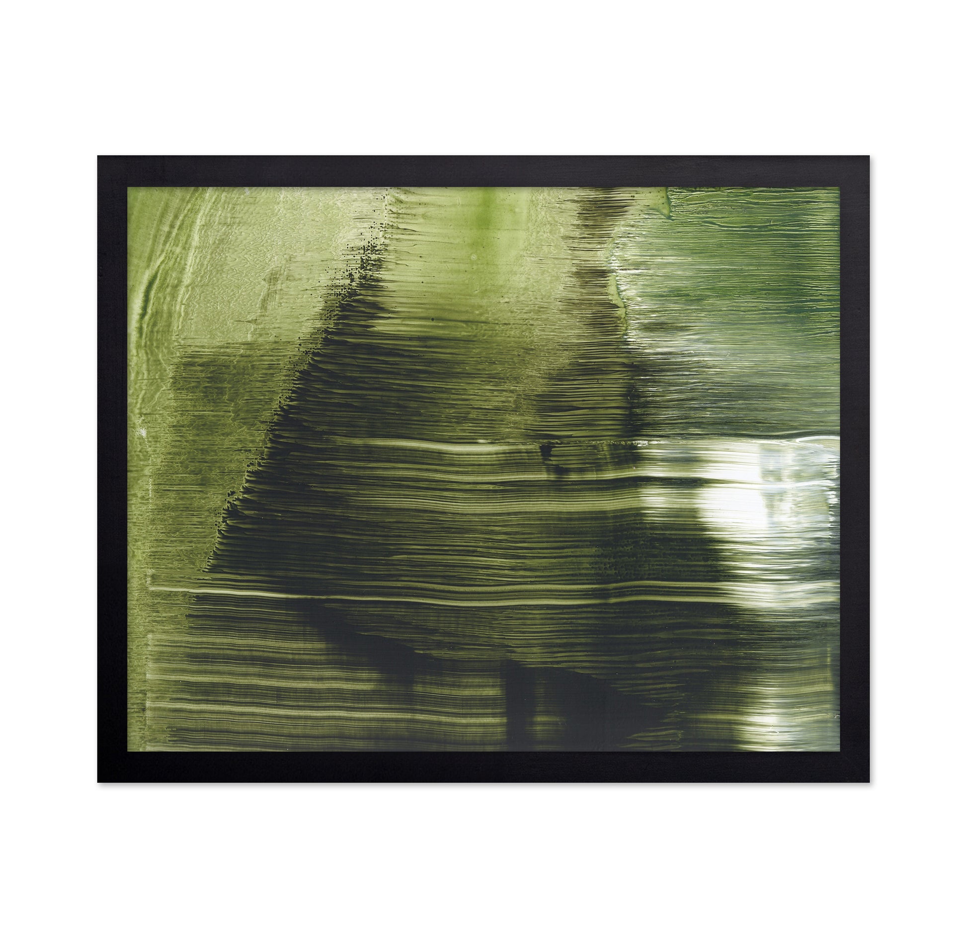 Green Tree Texture