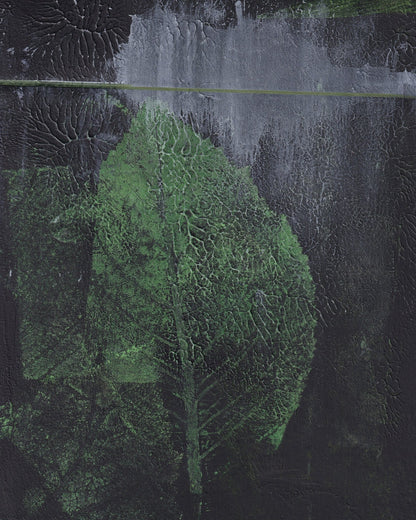 Green Leaf Texture No1
