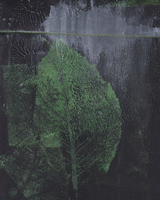 Green Leaf Texture No1