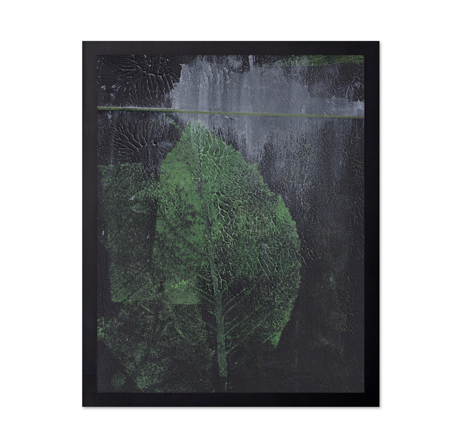 Green Leaf Texture No1