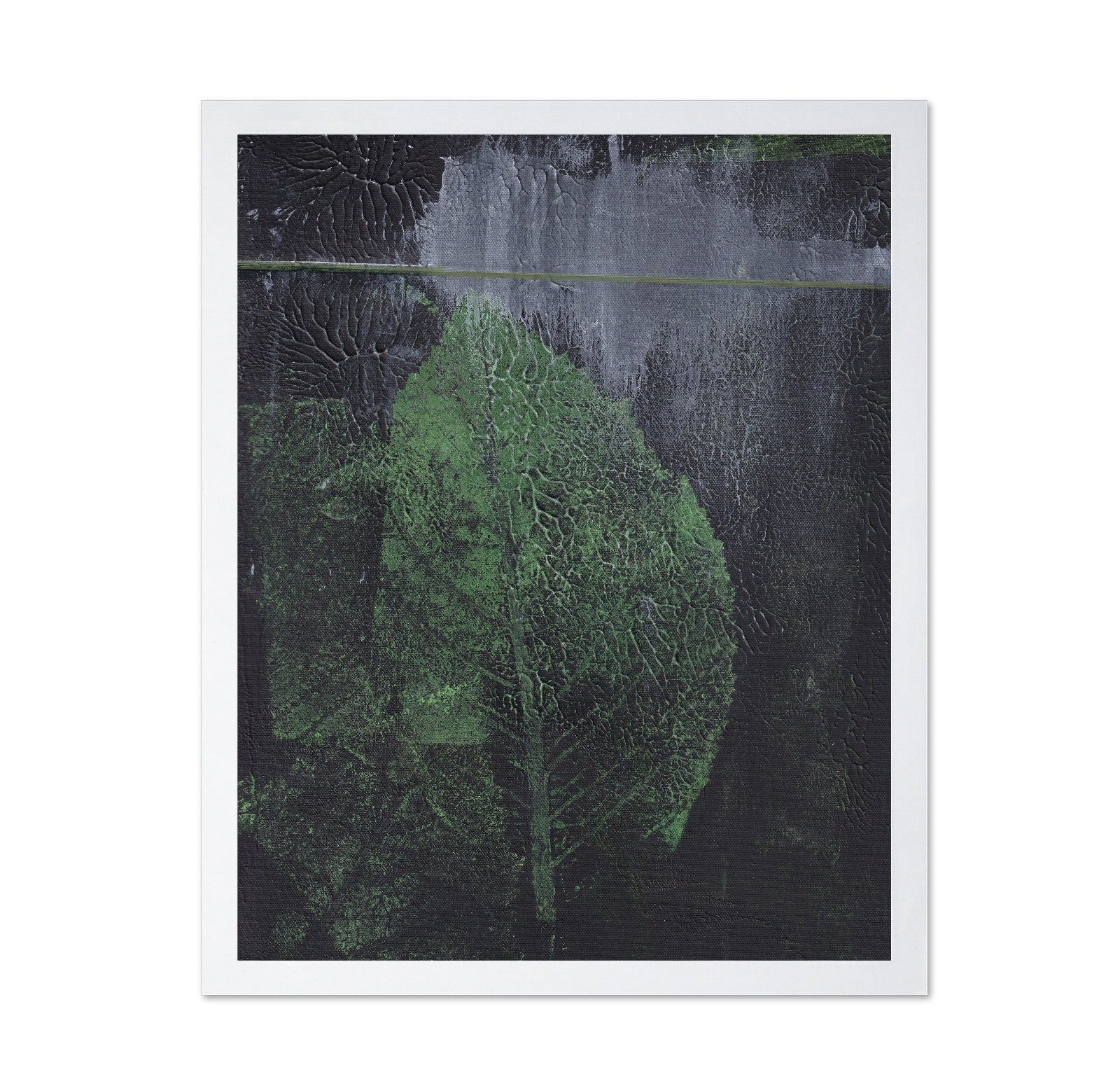Green Leaf Texture No1