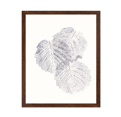 Soft Leaf Imprint