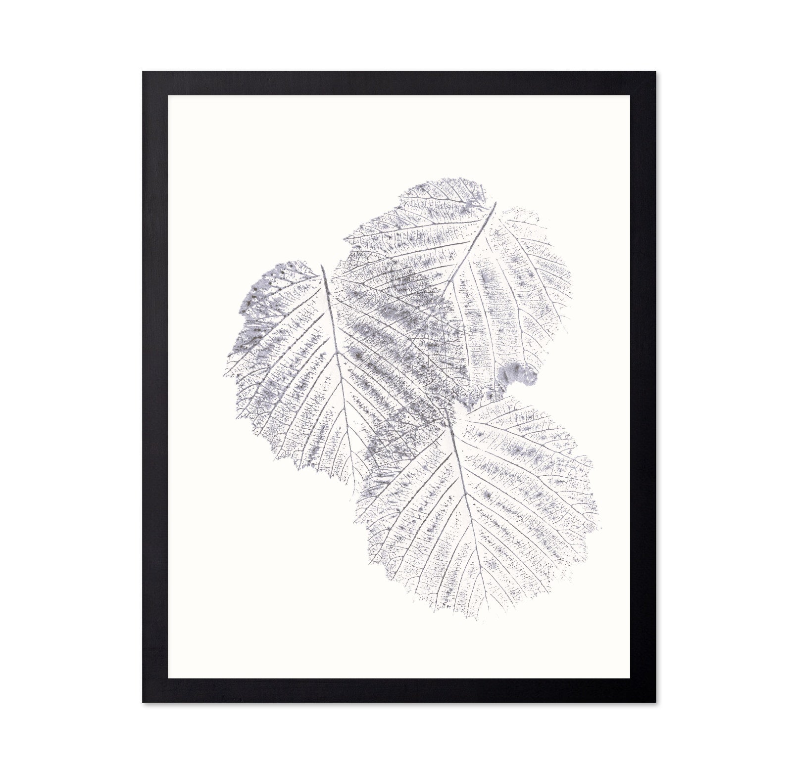 Soft Leaf Imprint
