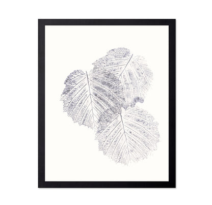 Soft Leaf Imprint