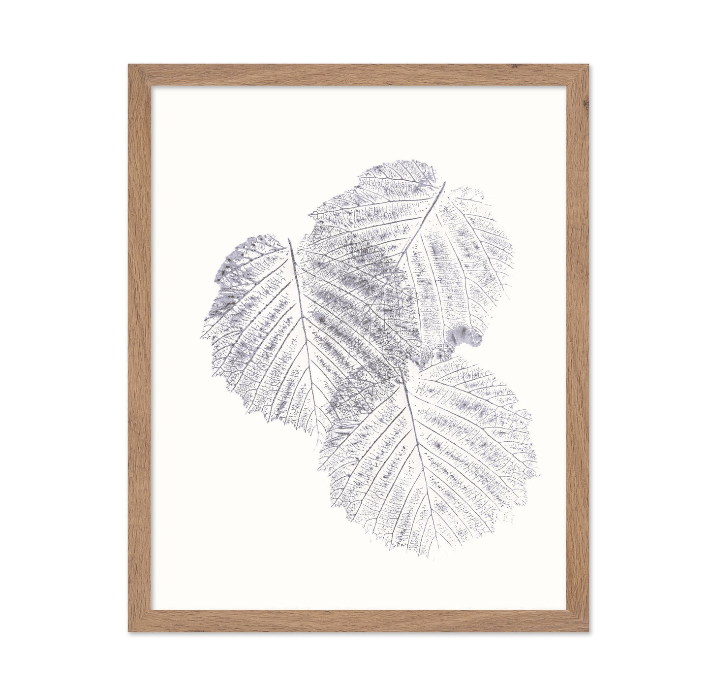 Soft Leaf Imprint