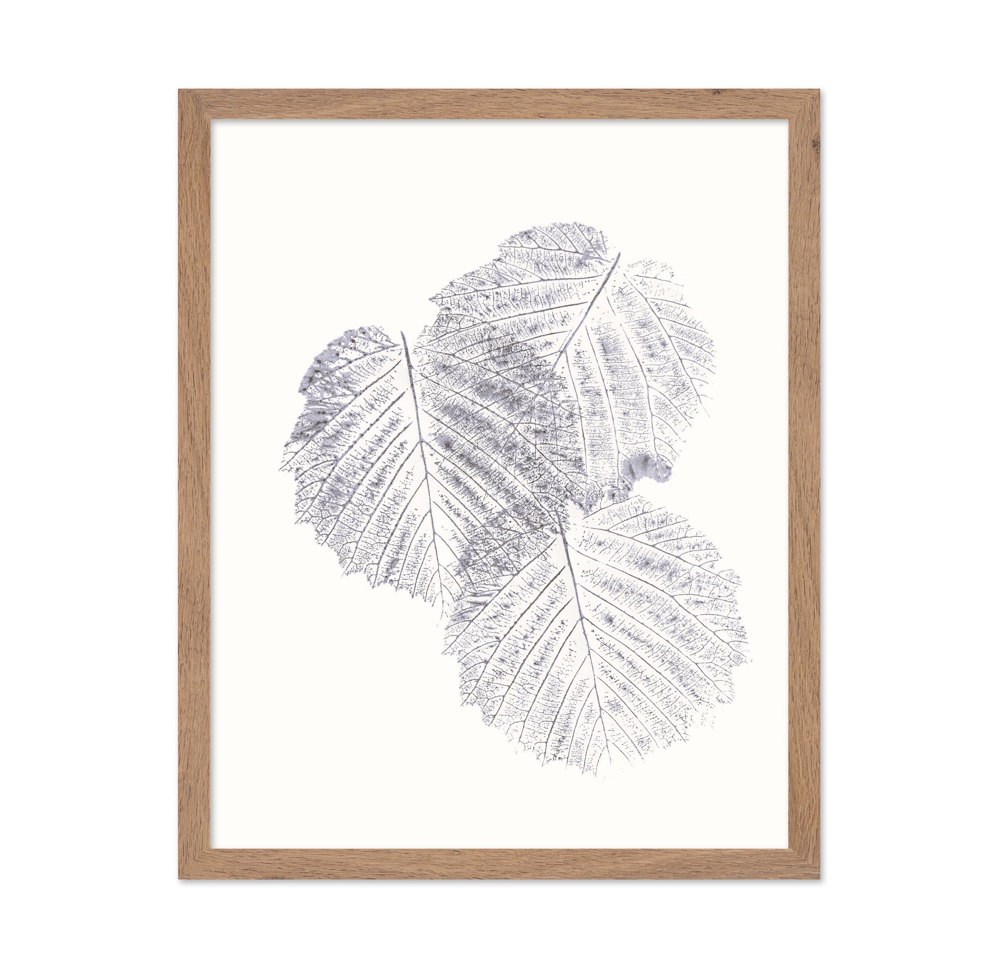 Soft Leaf Imprint