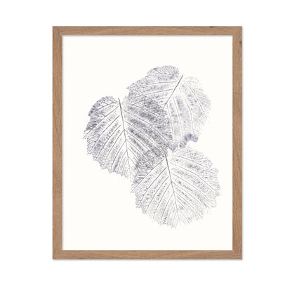 Soft Leaf Imprint
