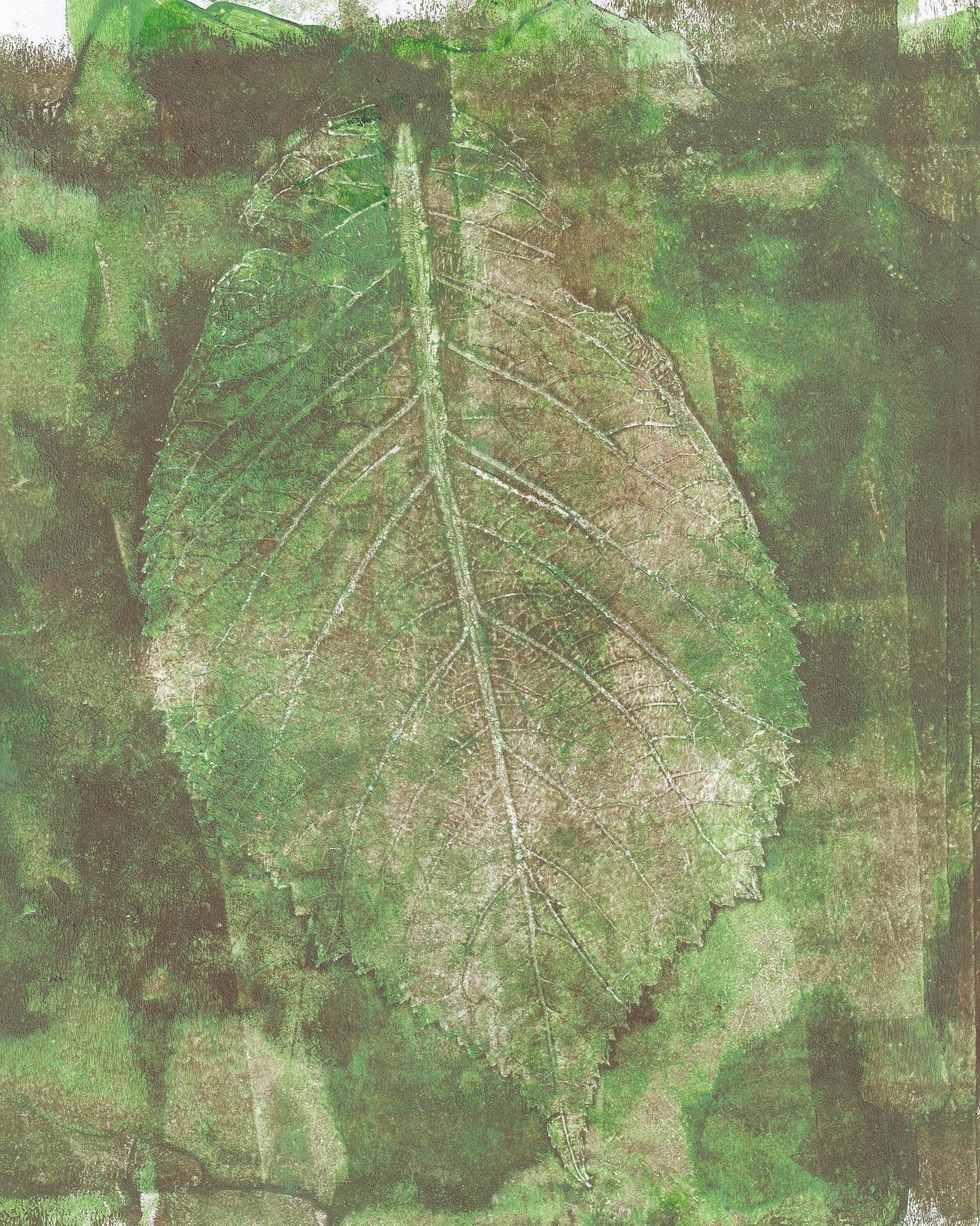 Botanical Leaf Texture