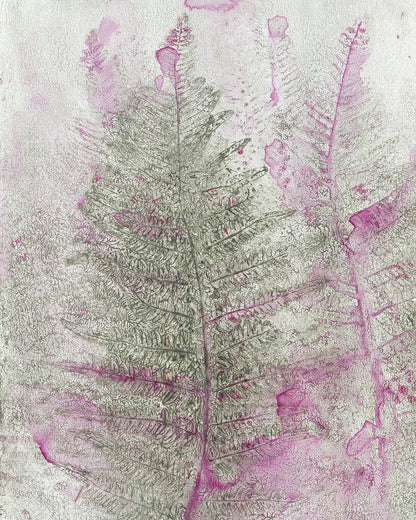 Pink Fern Imprint No1