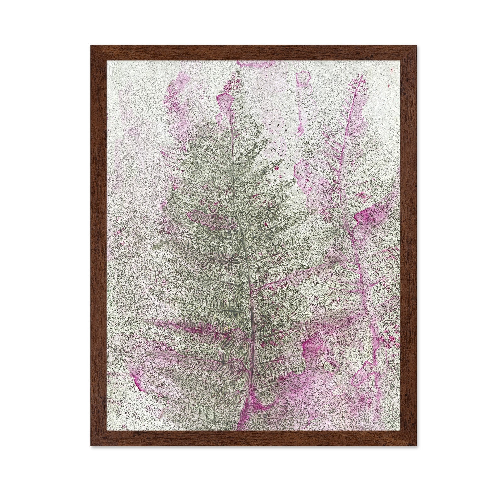 Pink Fern Imprint No1