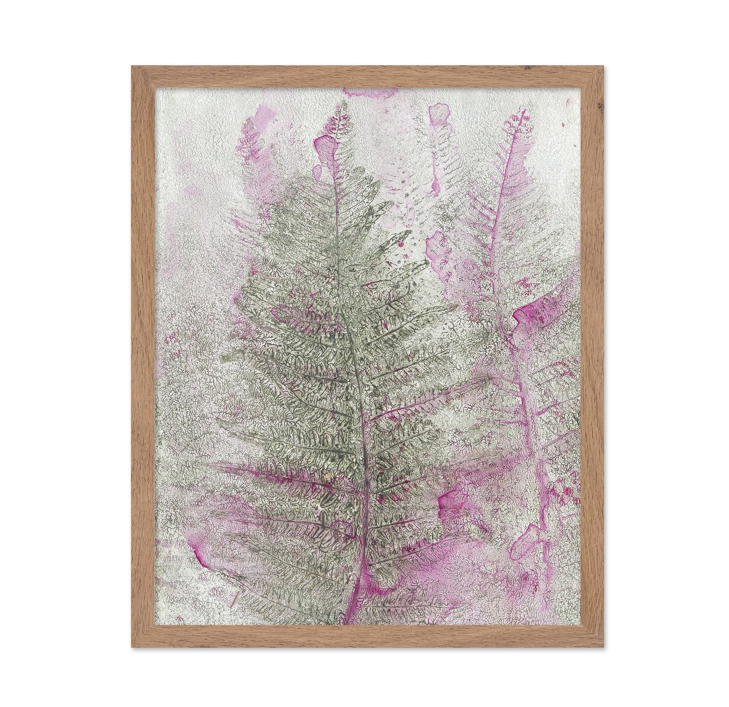 Pink Fern Imprint No1