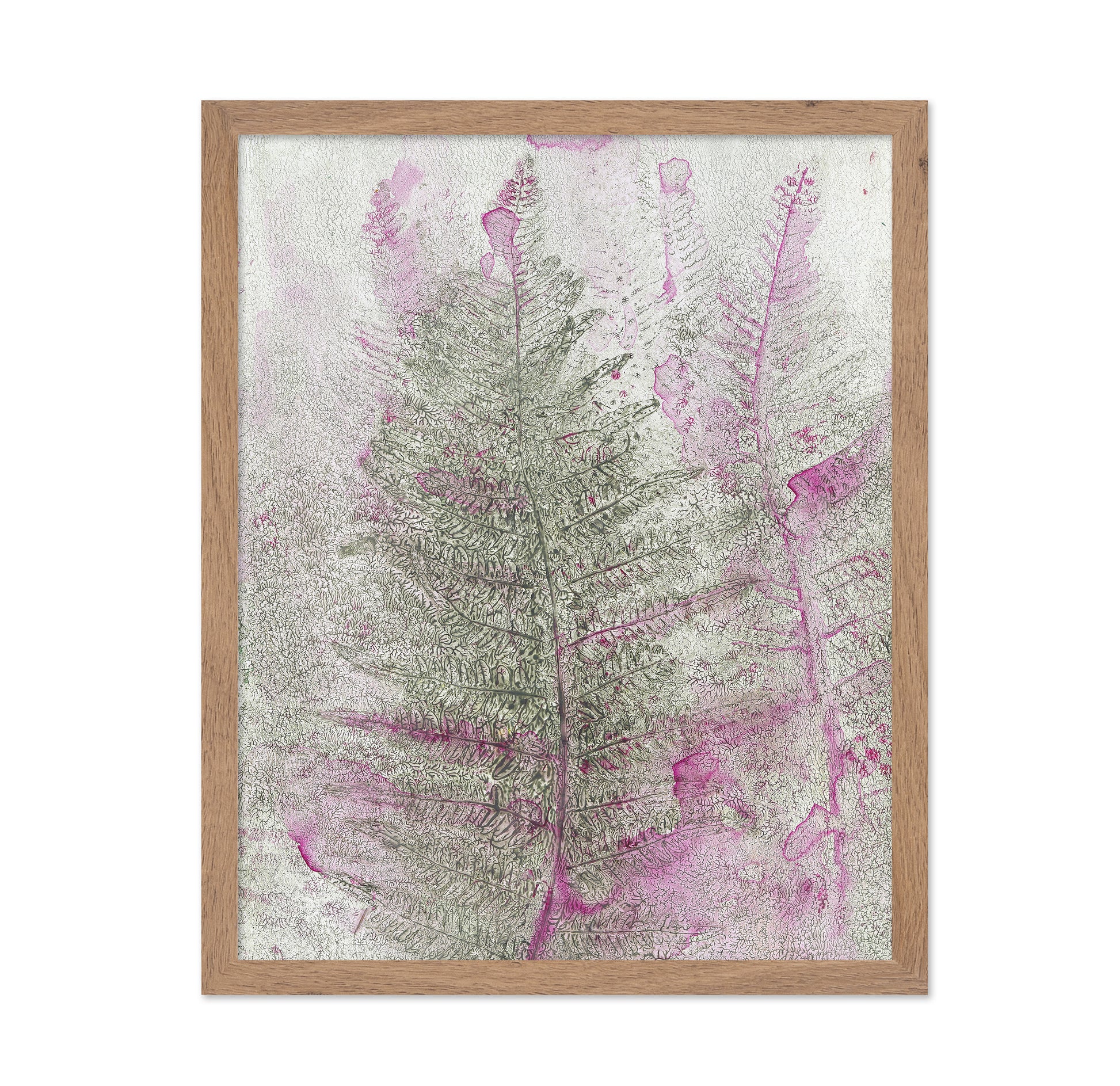Pink Fern Imprint No1