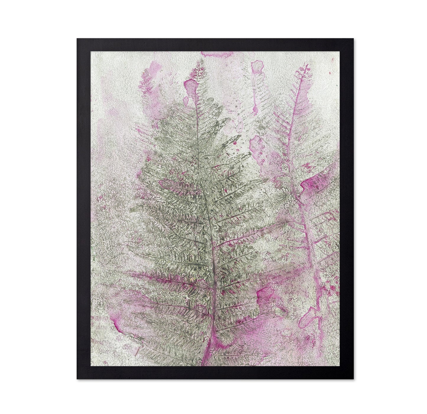 Pink Fern Imprint No1