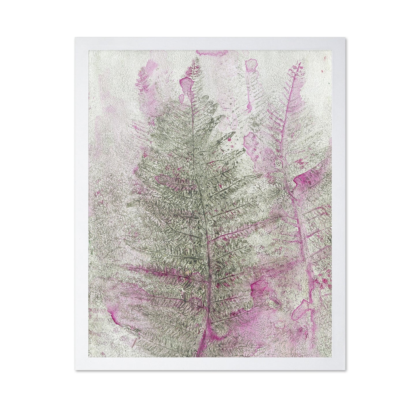 Pink Fern Imprint No1