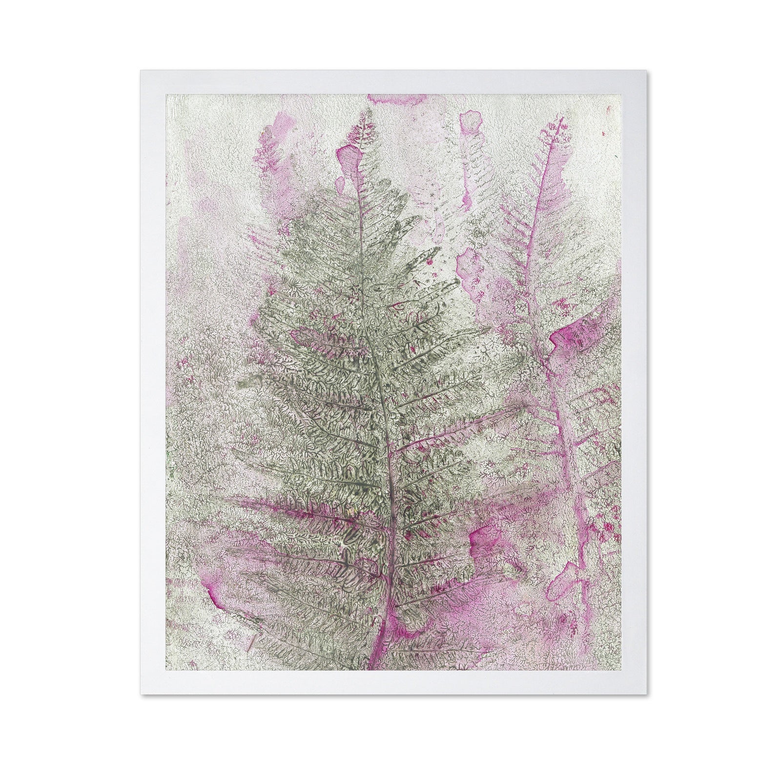 Pink Fern Imprint No1
