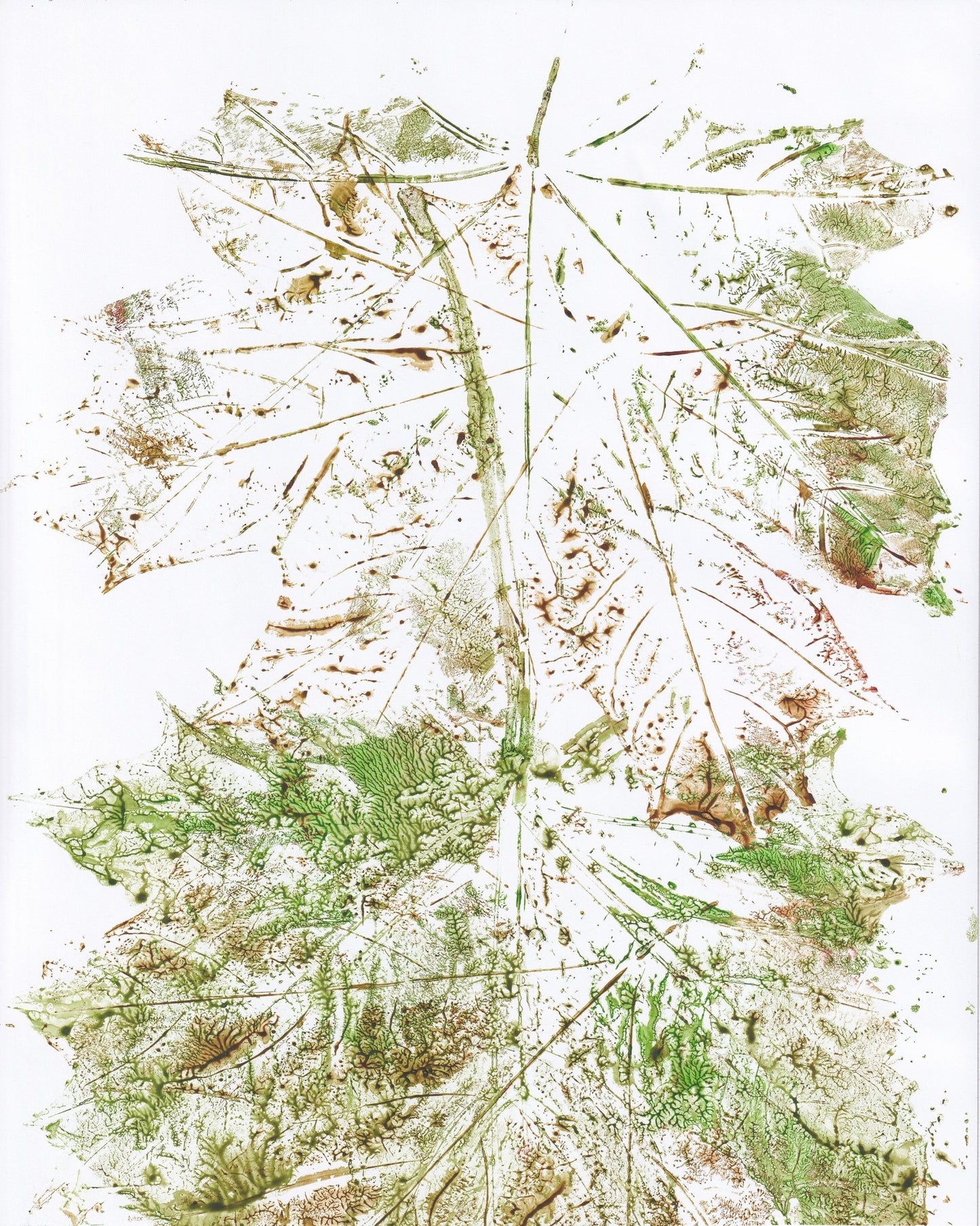 Organic Leaf Burst