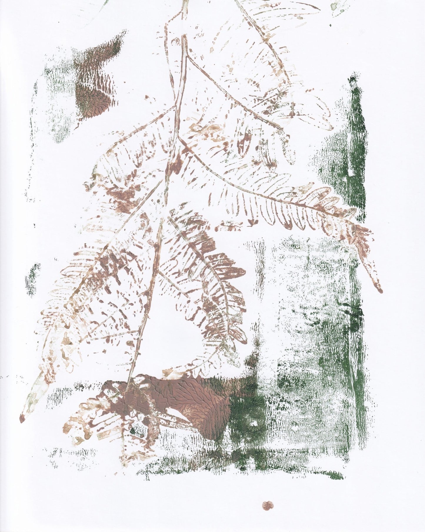 Earthy Fern Sketch