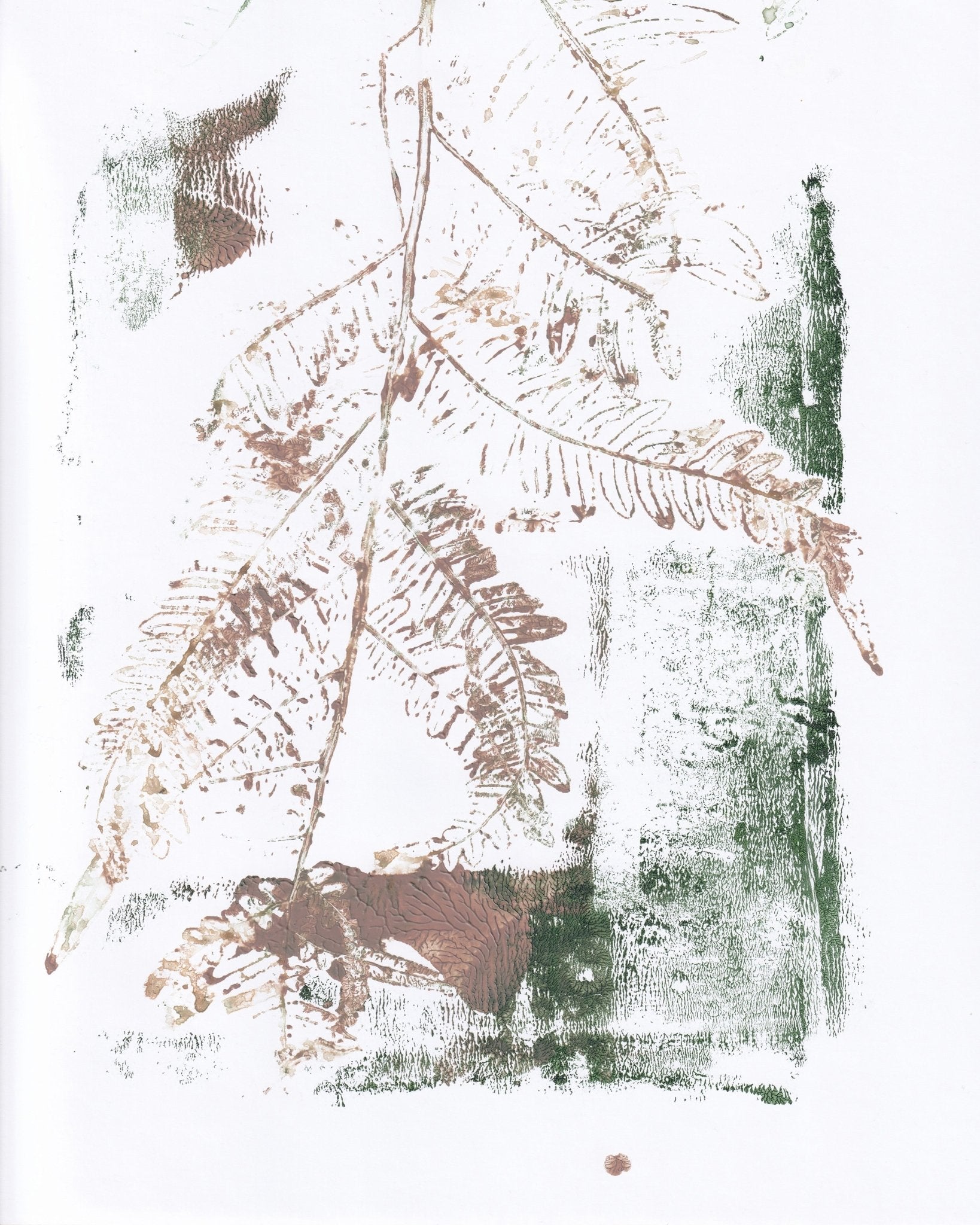 Earthy Fern Sketch