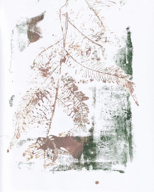 Earthy Fern Sketch