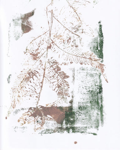 Earthy Fern Sketch