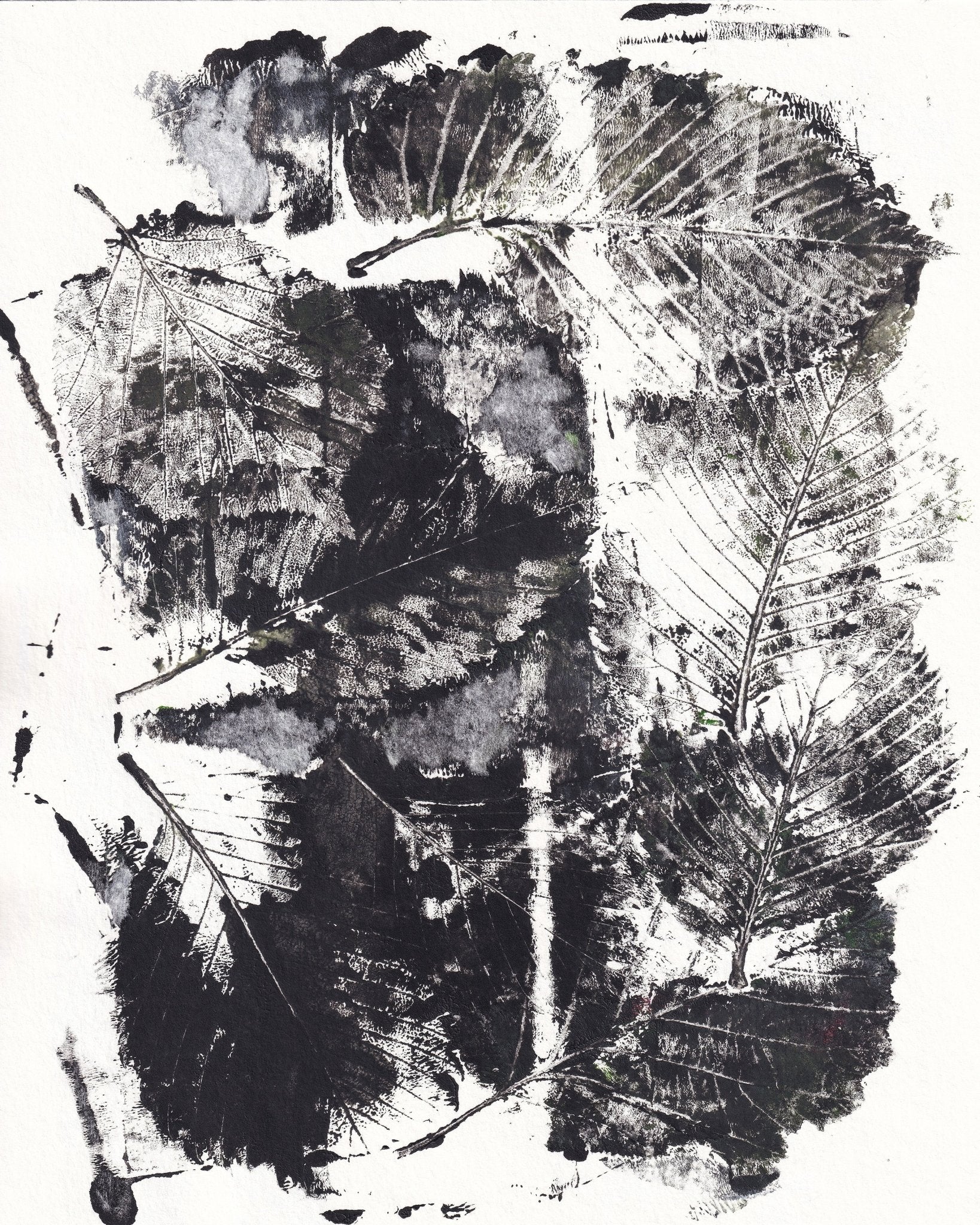 Monochrome Leaf Print No2
