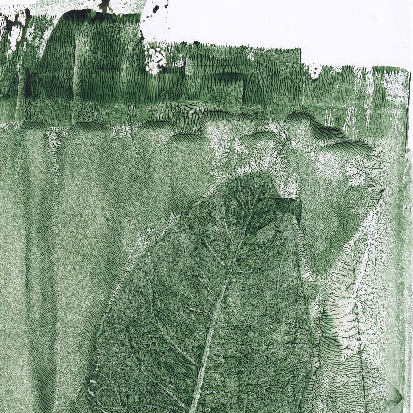 Green Leaf Texture No2
