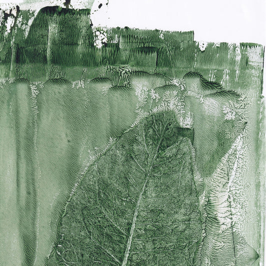 Green Leaf Texture No2