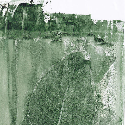 Green Leaf Texture No2