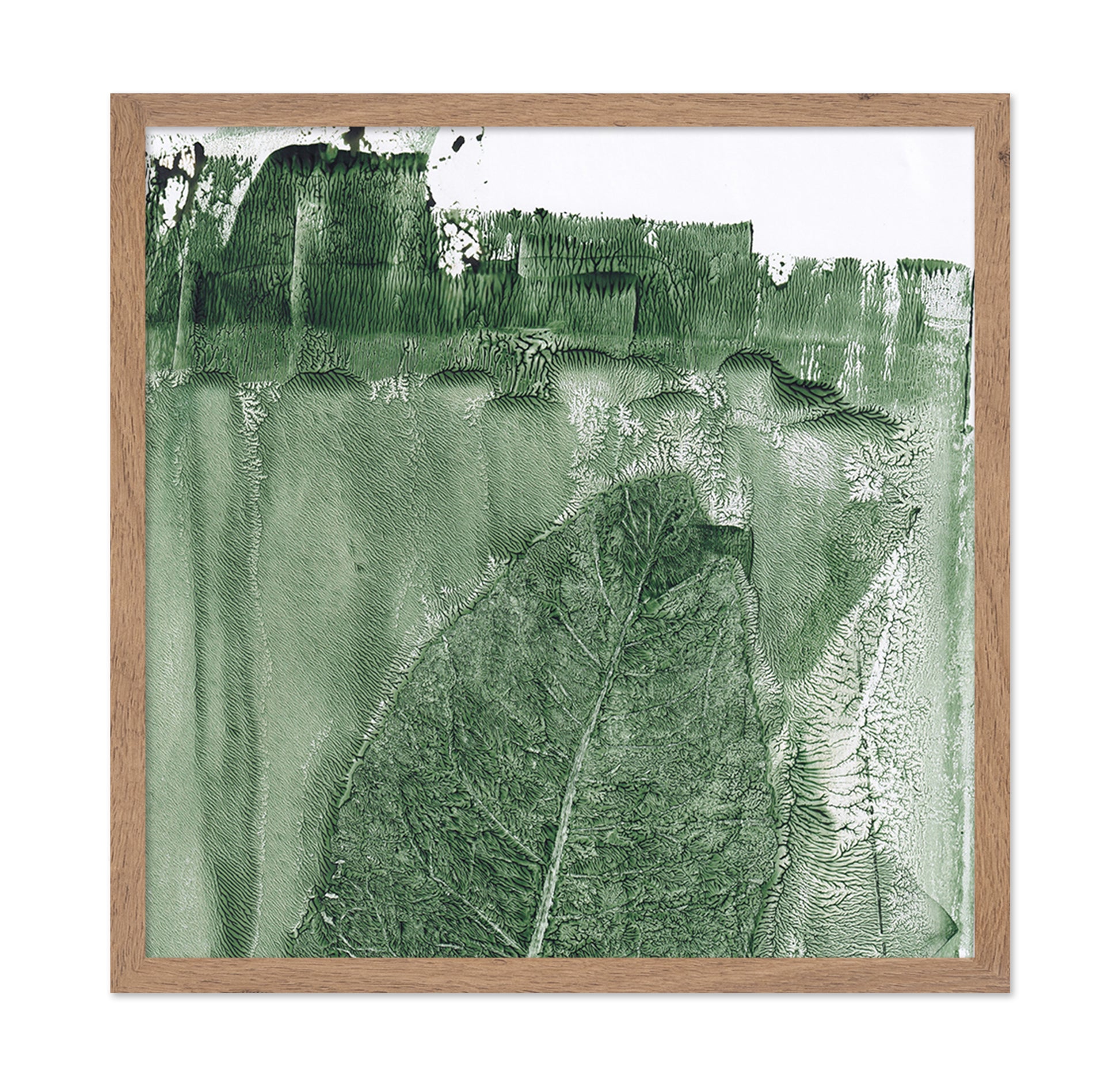 Green Leaf Texture No2