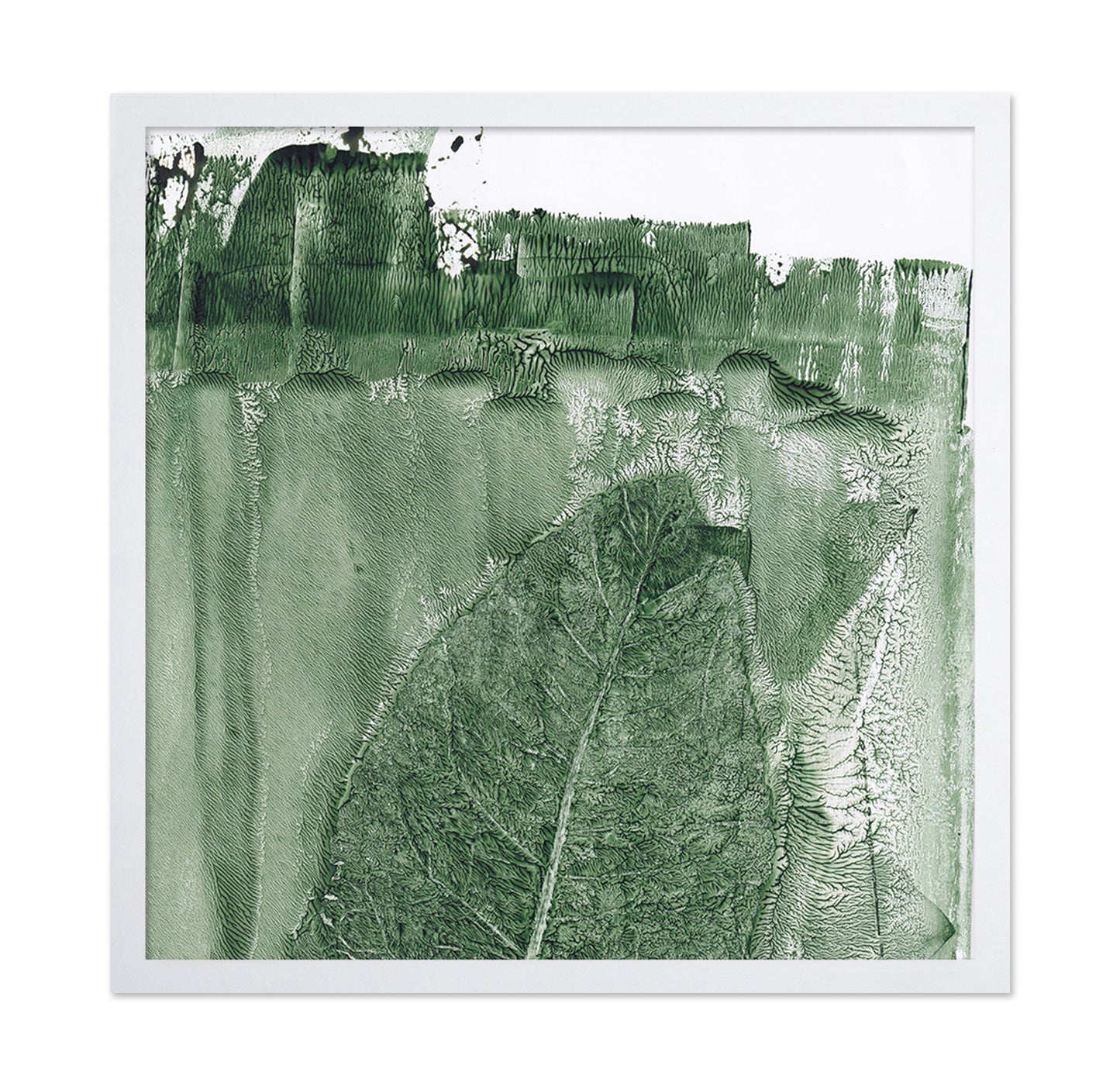 Green Leaf Texture No2