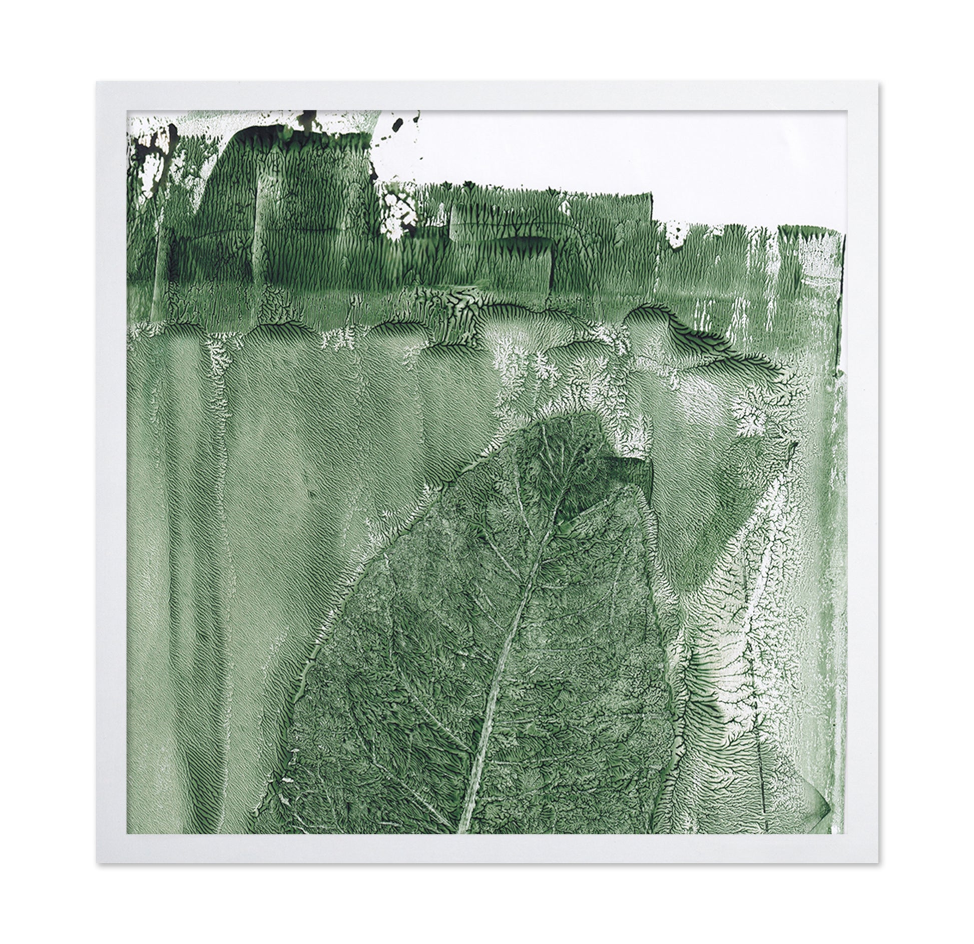 Green Leaf Texture No2