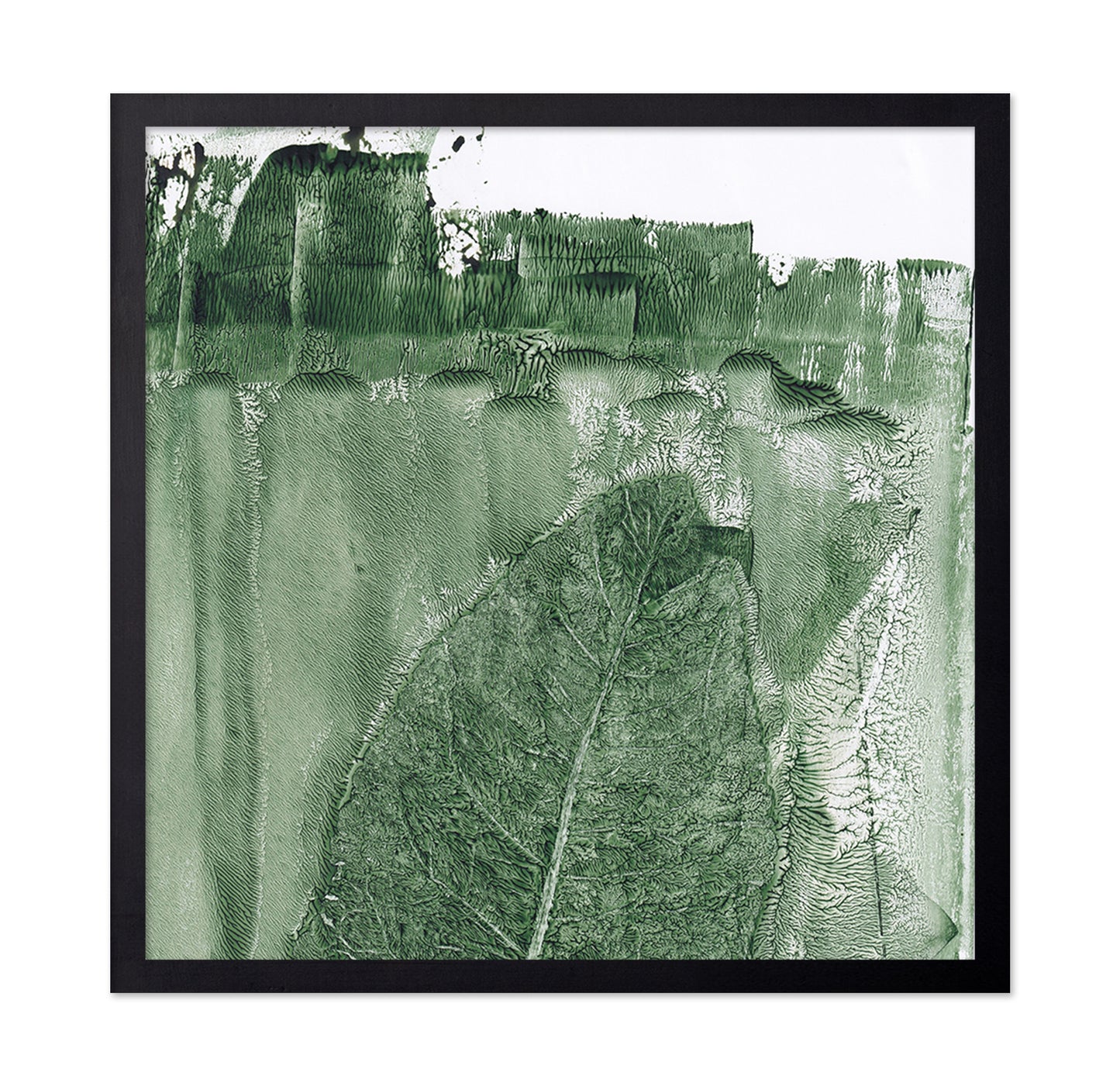 Green Leaf Texture No2