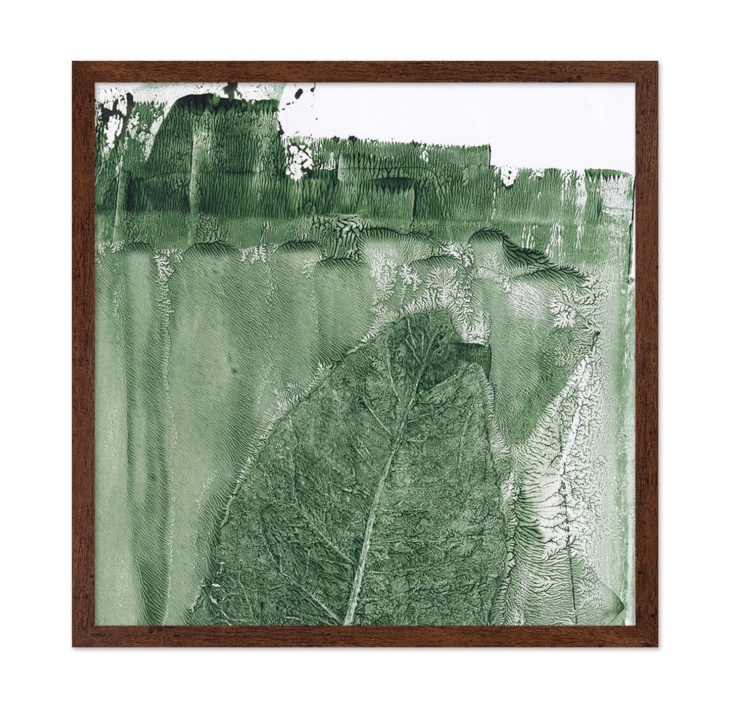 Green Leaf Texture No2
