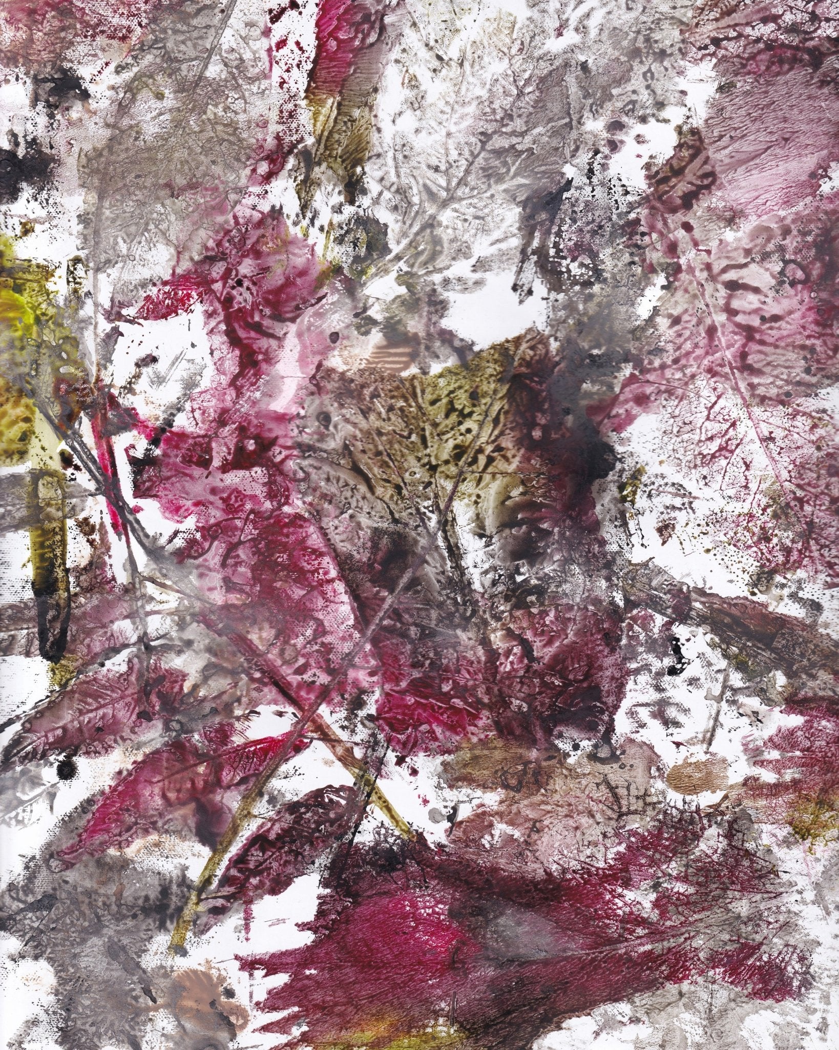 Crimson Leaf Motion