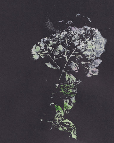 Dark Floral Silhouette