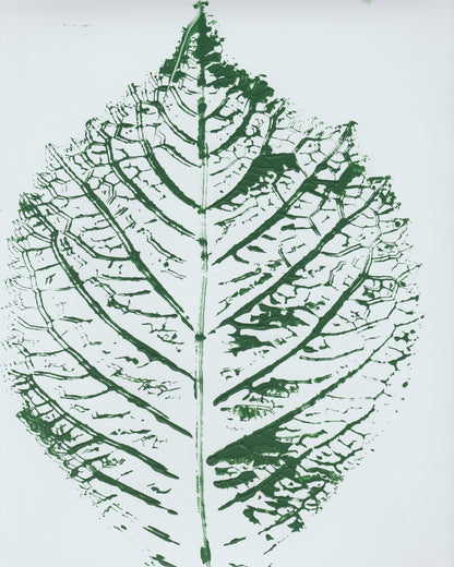 Green Leaf Veins