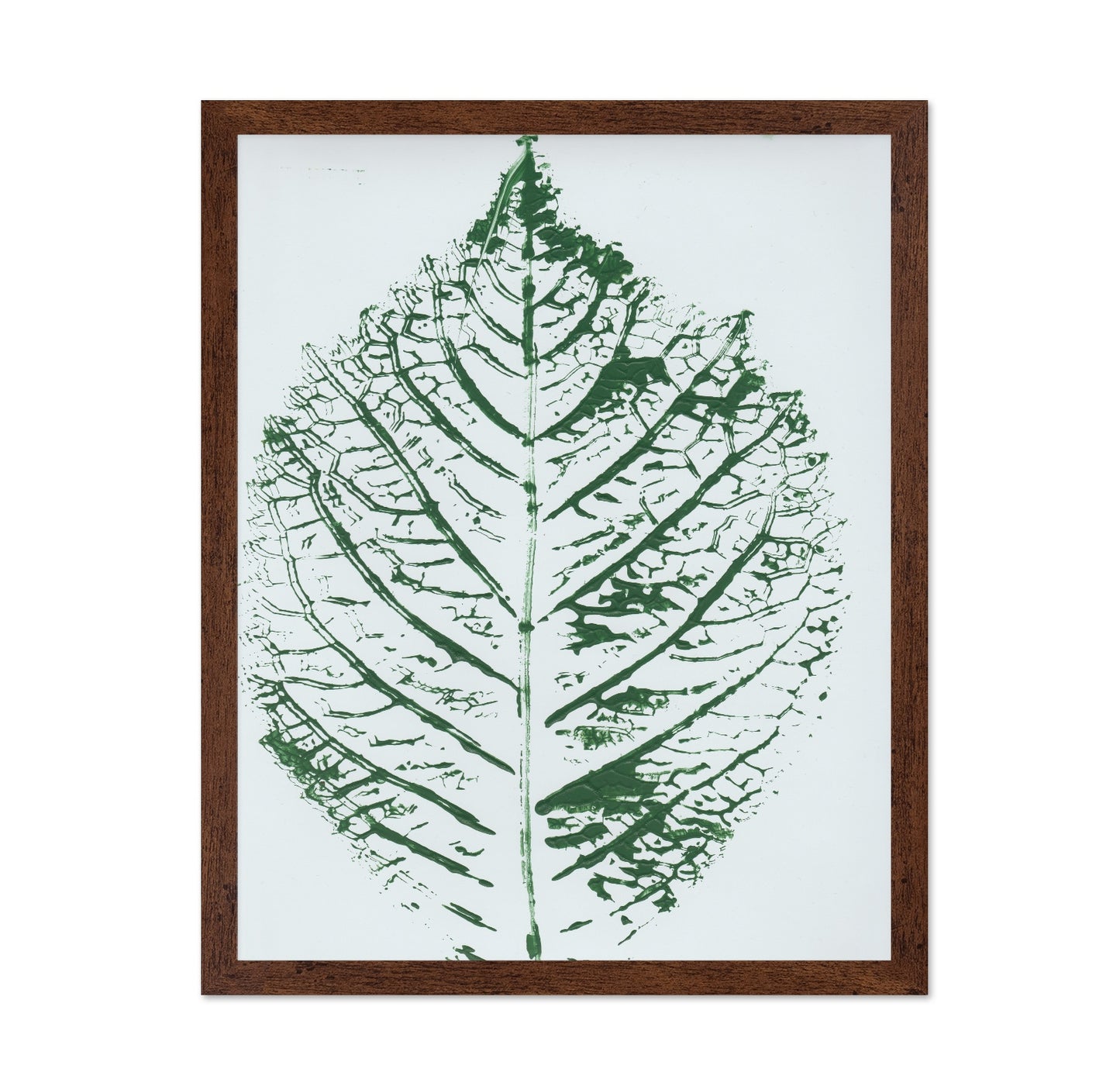 Green Leaf Veins