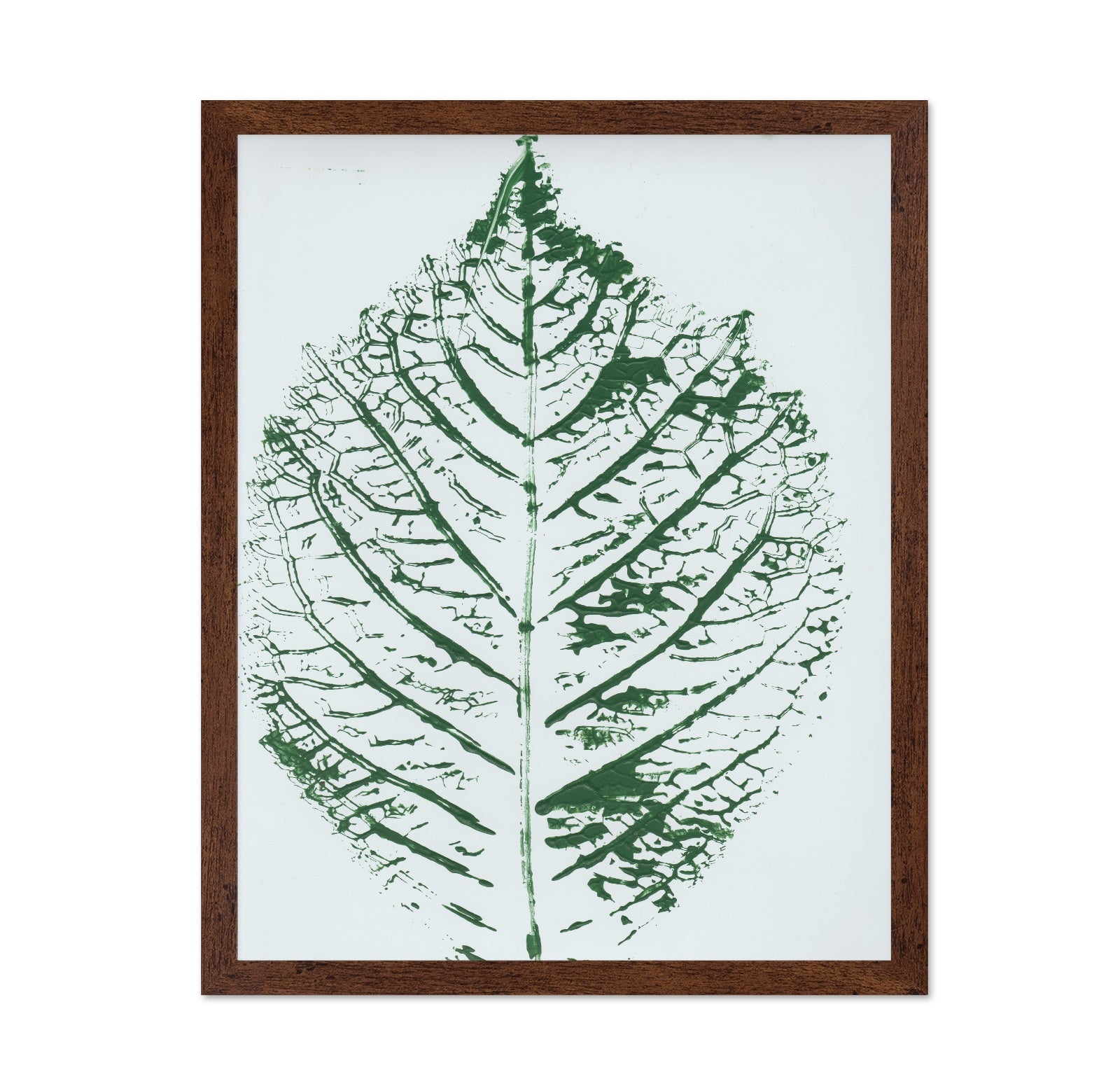 Green Leaf Veins