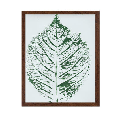 Green Leaf Veins