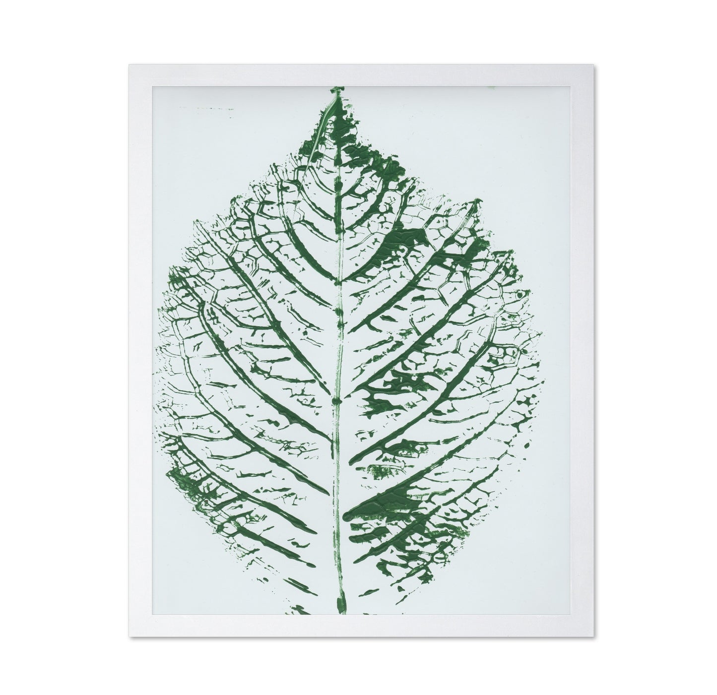 Green Leaf Veins