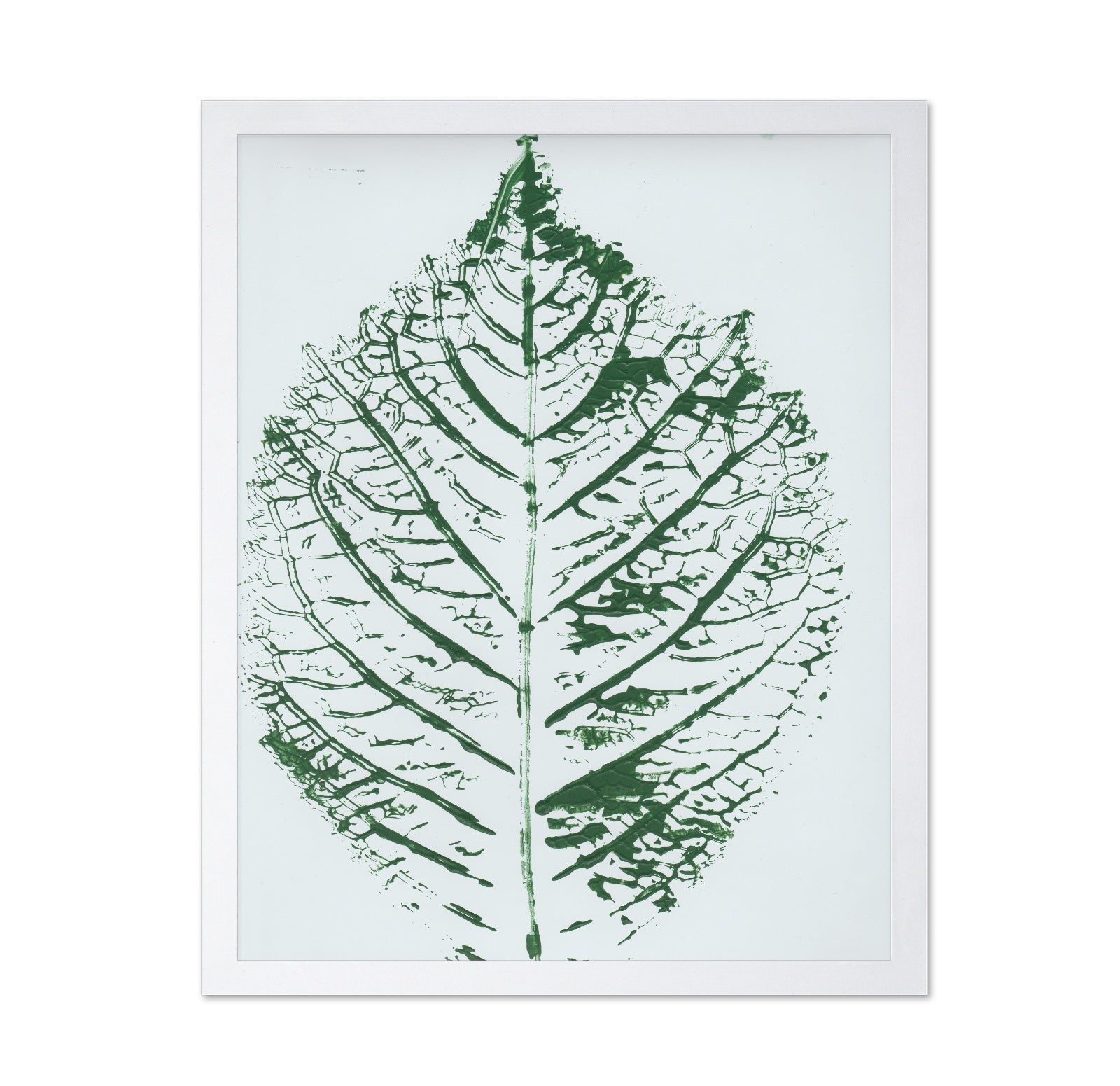 Green Leaf Veins