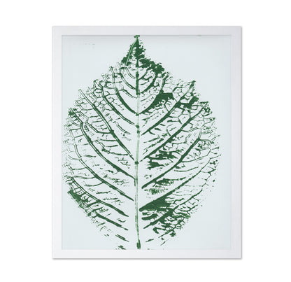 Green Leaf Veins